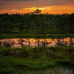 Soesauna Vetla