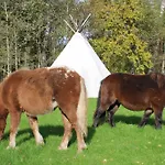 Soesauna Vetla
