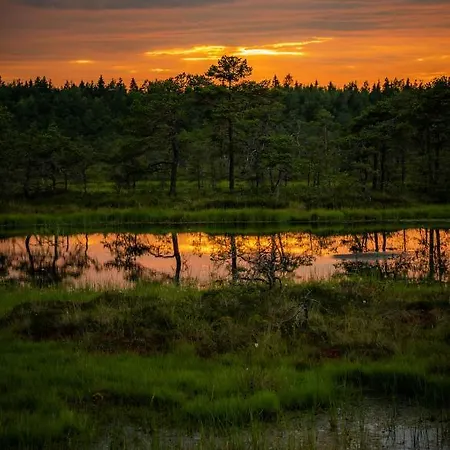 Soesauna Vetla