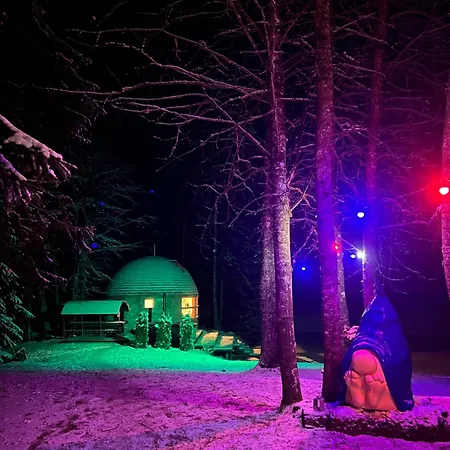 Farm stay Soesauna Vetla
