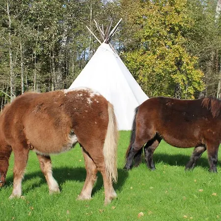 Soesauna Vetla